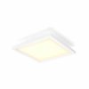 Smartes Licht Philips Hue | Aurelle Quadratisches Panel 30X30 Weis + Dimmschalter