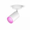 Smartes Licht Philips Hue | Fugato Einzelspot Weis